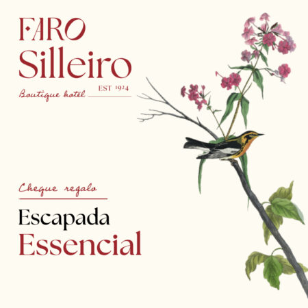 Cheque regalo faro silleiro premium